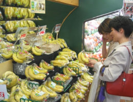 Pemerintah Perjuangkan Akses Pasar Produk Indonesia di Jepang
