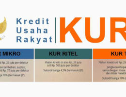 Ingin Kembangkan Usaha Terbentur Modal, Ajukan KUR BRI