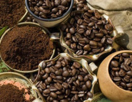 AVPA, Asosiasi Asal Perancis Siap Pasarkan Kopi Indonesia di Pasar Eropa