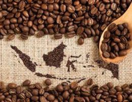 Bagi Masyarakat Amerika, Kopi Indonesia Memiliki Cita Rasa Nan Unik