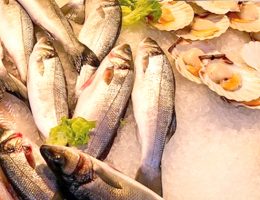 Selain Kualitas Ikan, Andro Marine Tawarkan Sistem Pembayaran Menarik