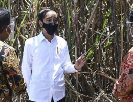 Jokowi: Baru 8 Juta UMKM yang Terintegrasi Teknologi Digital
