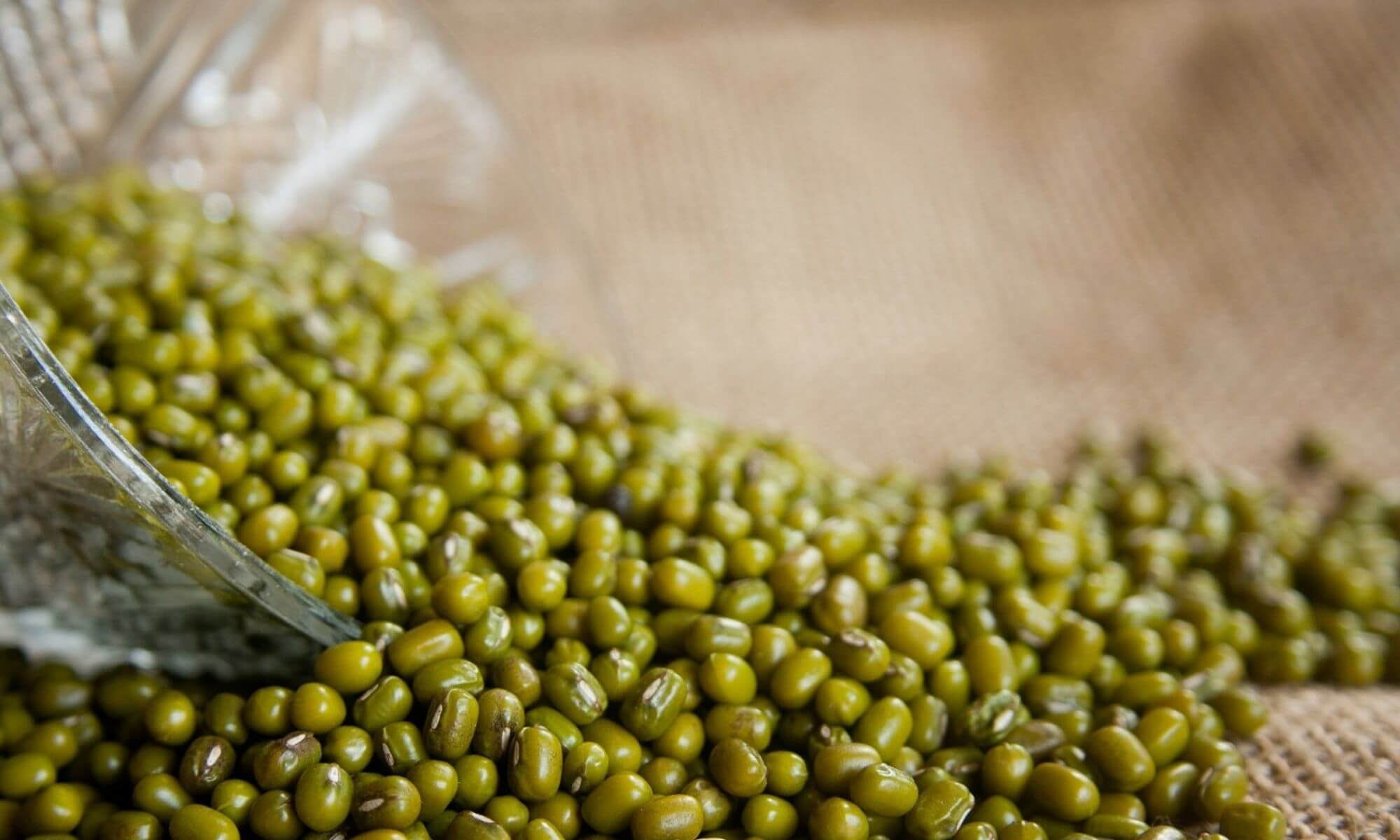 manfaat minuman sari kacang hijau