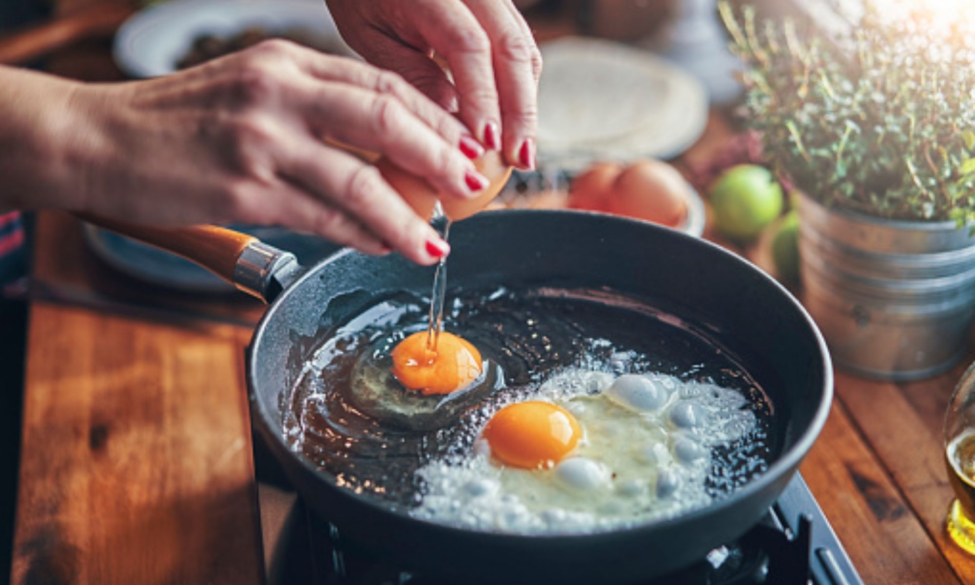 3 Jenis & Manfaat Tray Telur untuk Keperluan Bisnis