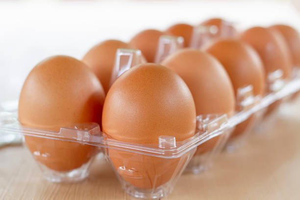 Tray telur plastik