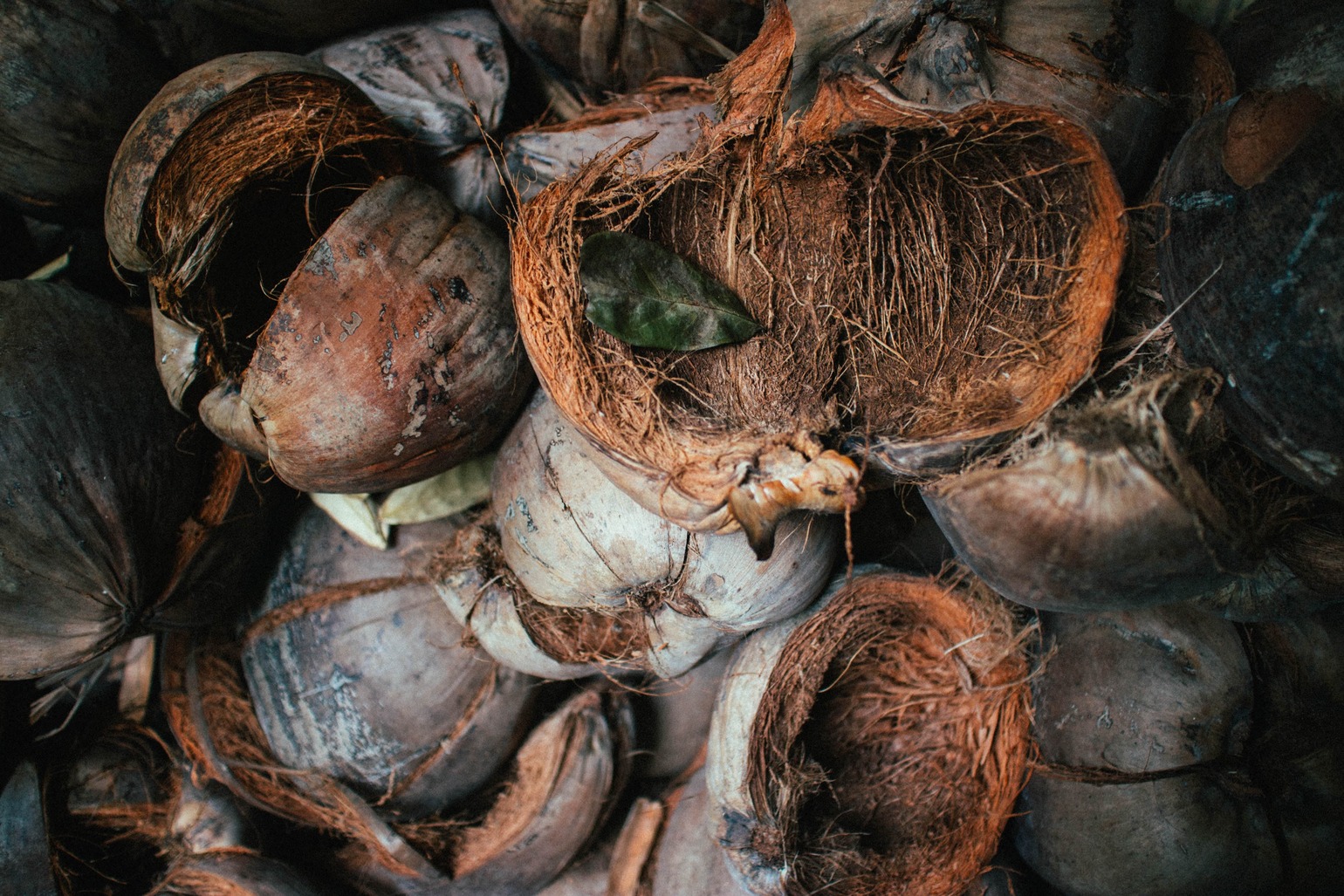 cara membuat briket arang batok kelapa