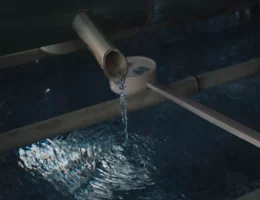 Cara Membuat Septic Tank Anti Penuh dan Perawatannya cara membuat septic tank anti penuh