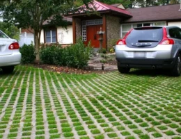 paving block grass
