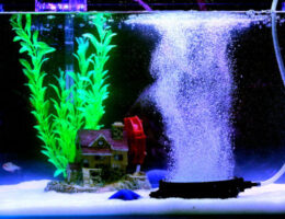 peran Aerator Aquarium