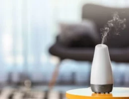 Perbedaan Humidifier dan Diffuser dan Manfaatnya perbedaan humidifier dan diffuser