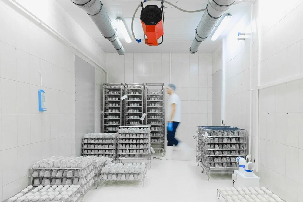 cold storage industri